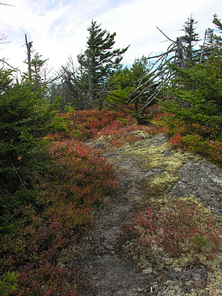14percypeaks10207