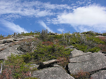 46percypeaks10207
