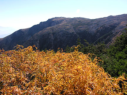 07alpinegarden10505