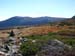 14alpinegarden10505
