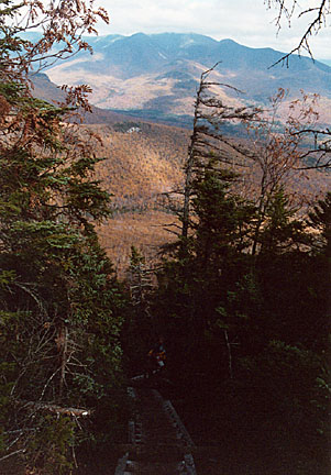 25mtflume